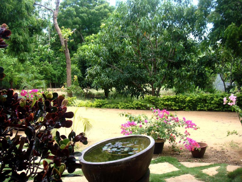 Le Grand Meaulnes Hotel Habarana Bagian luar foto